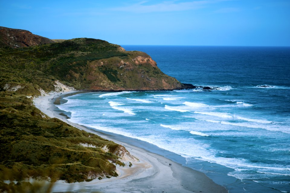 Fly bay, Ocean, New zeal photo