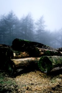 Clent hills, Stourbridge, United kingdom