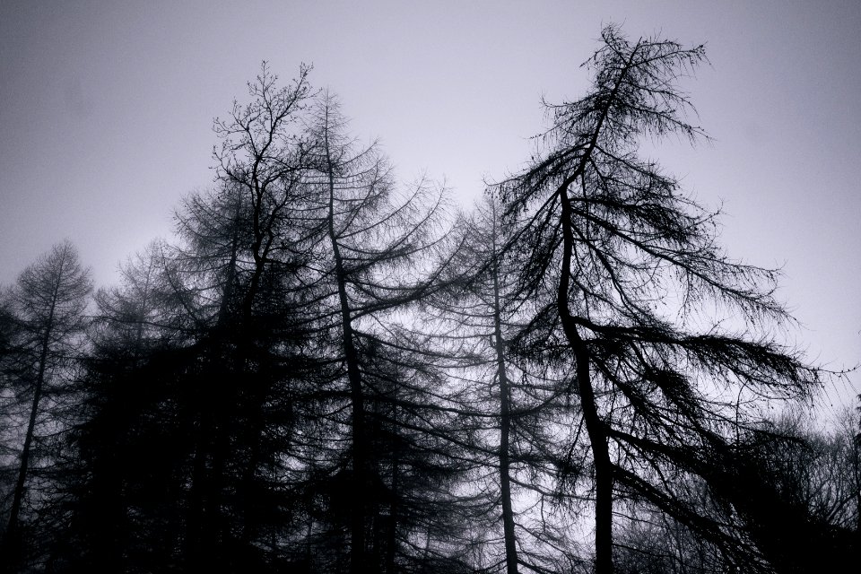 Clent hills, Stourbridge, United kingdom