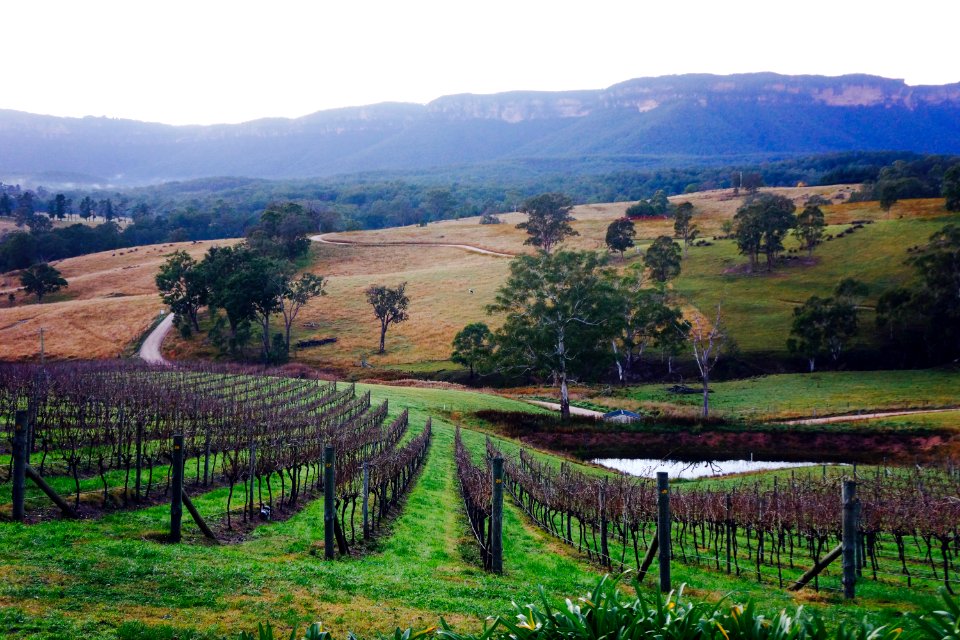 Megalong valley, Australia