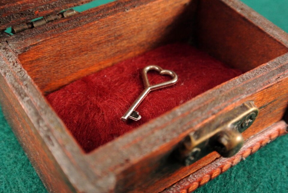 Close close up heart