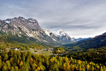 Nature scenic trees photo