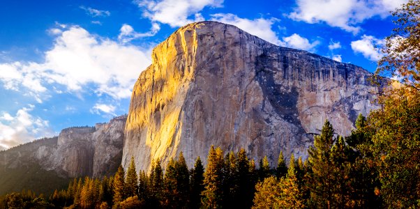 brown rock formation over pine tree forest during day photo