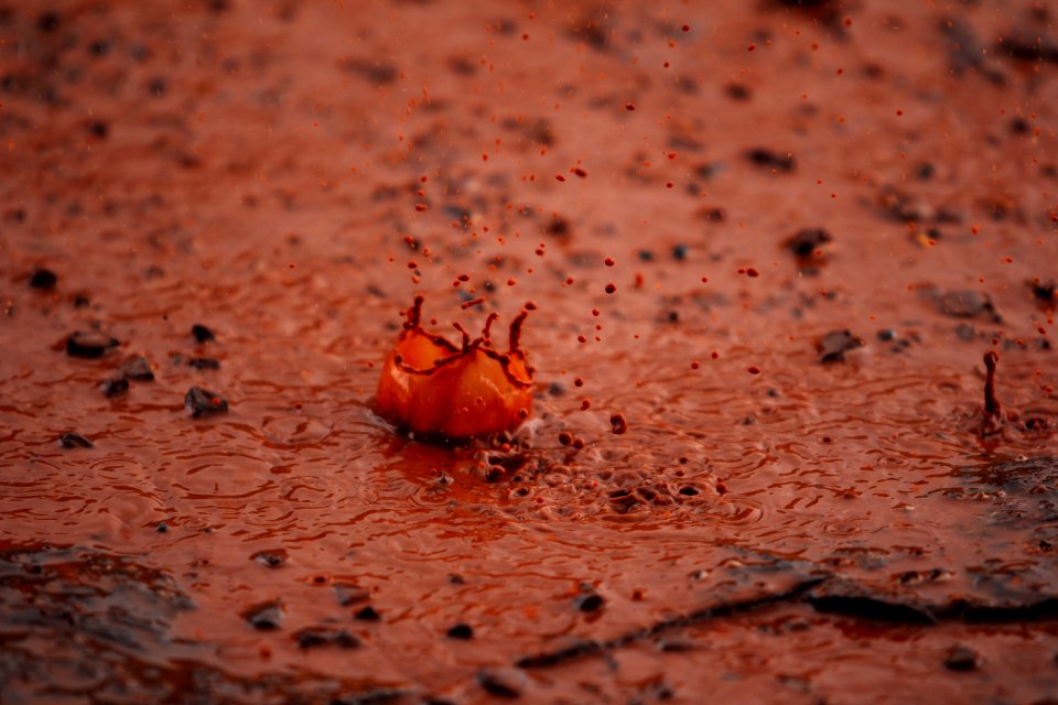 Water, Raindrop, Drop
