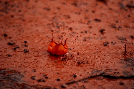 Water, Raindrop, Drop