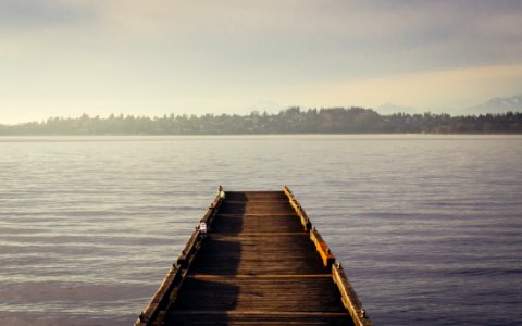 brown wooden dockside beside sea photo