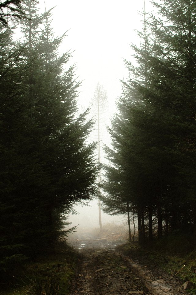 Holmfirth, Holme styes reservoir, United kingdom
