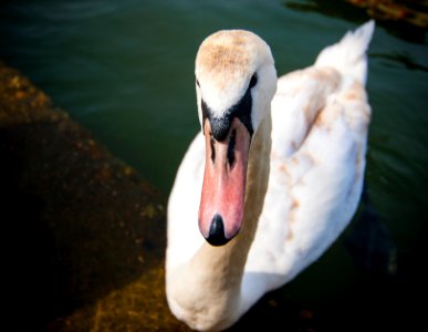 Windsor, United kingdom, Water