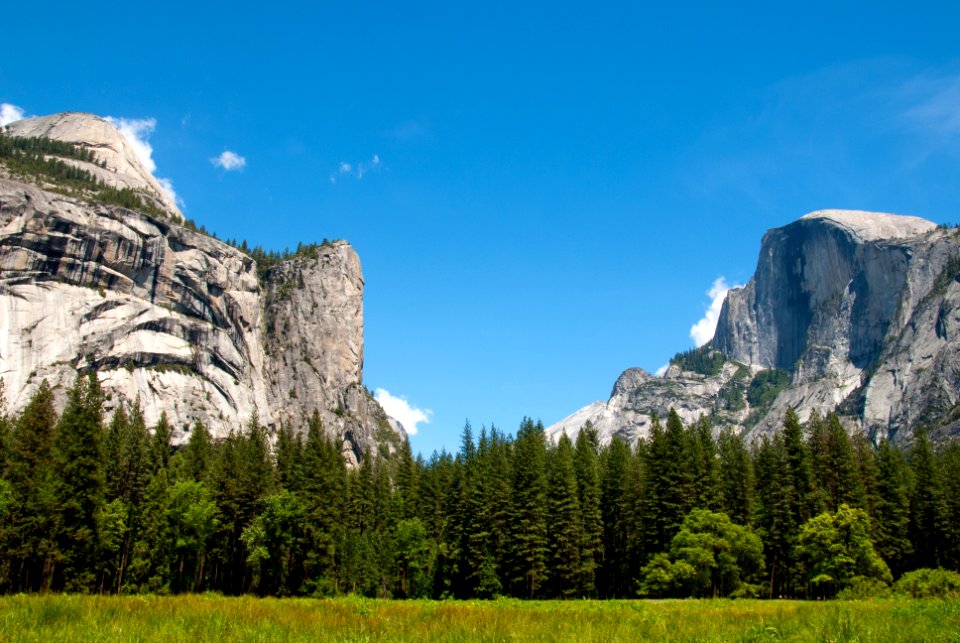 Yosemite national park, United states, Trees