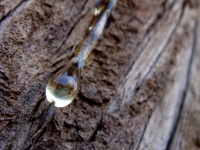 Alicante, Spain, Macro