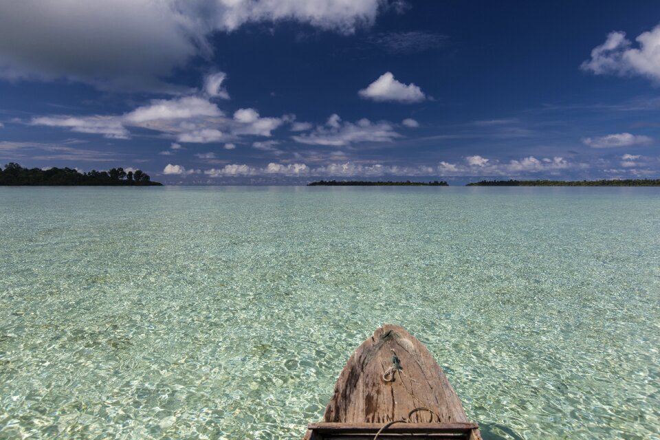 Widi islands leaf flat shallows