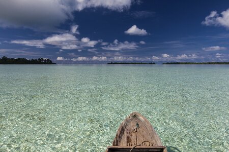 Widi islands leaf flat shallows