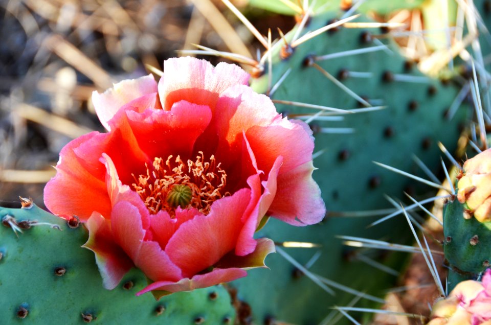 Albuquerque, United states