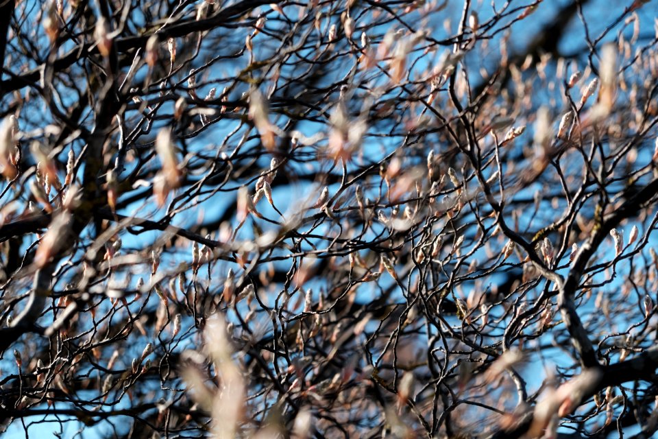 Neuulm, Germany, Branches