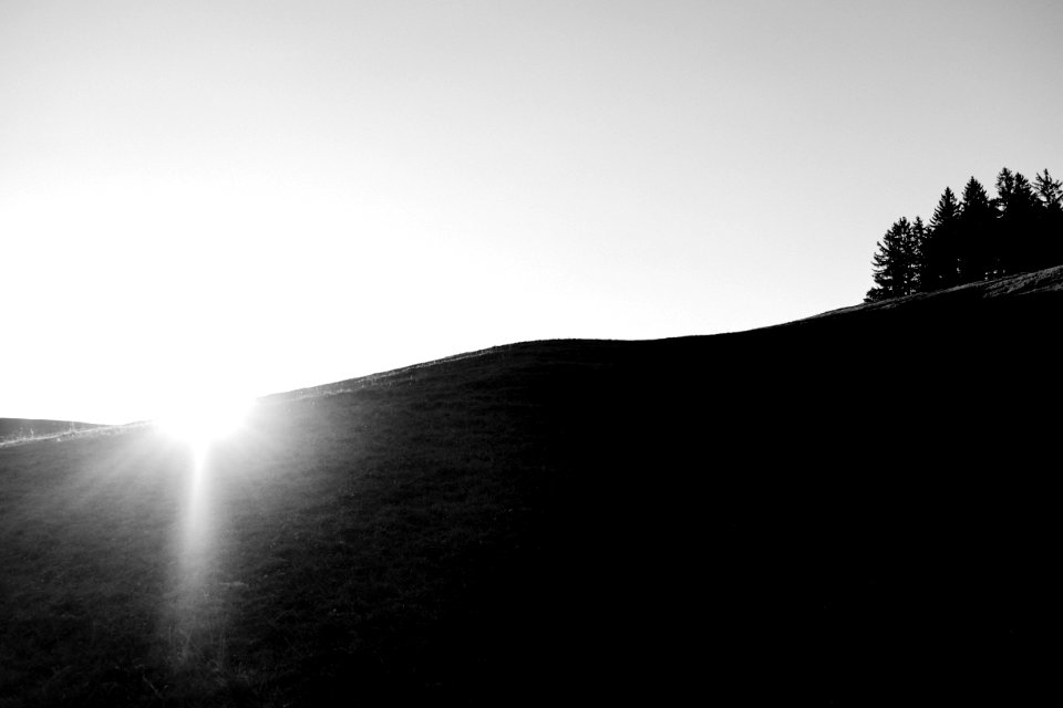 Siedelalpe, Immenstadt im allg u, Germany