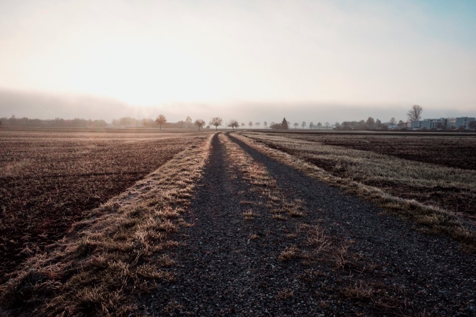 Neuulm, Germany, Path