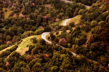 aerial photography of concrete road in forest photo