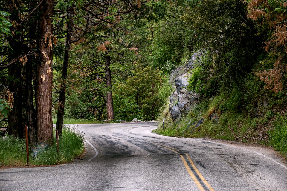 asphalt road in between tres