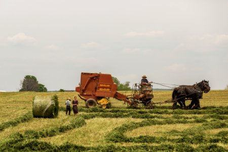 woman standing near brown combine harvester photo