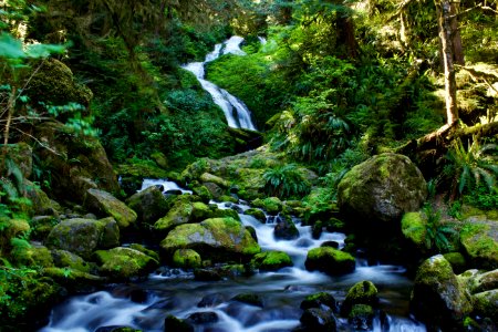 Quinault, United states, Slow shutter photo