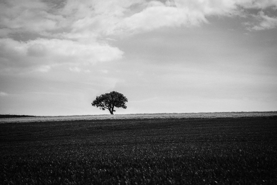 Baulmes, Switzerl, Minimal