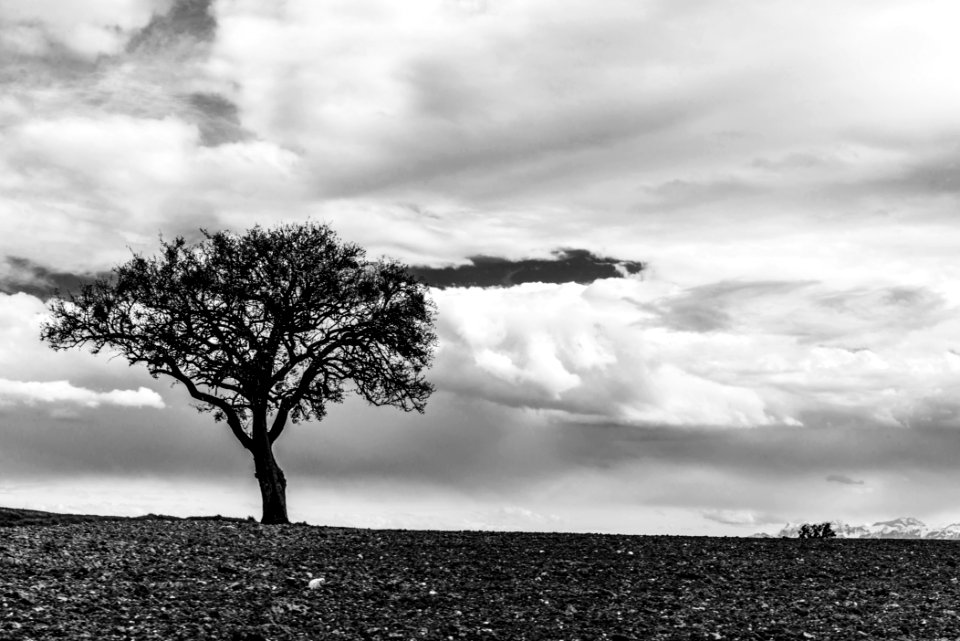 Baulmes, Switzerl, Scape