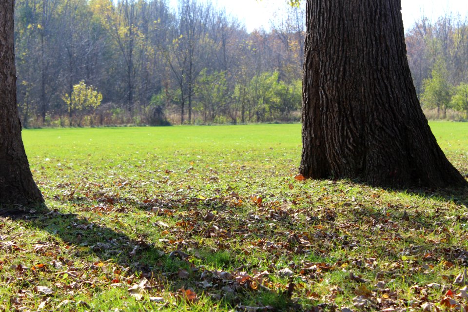 Columbus, United states, Day