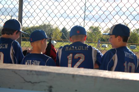 Team, Baseball team, Dugout photo