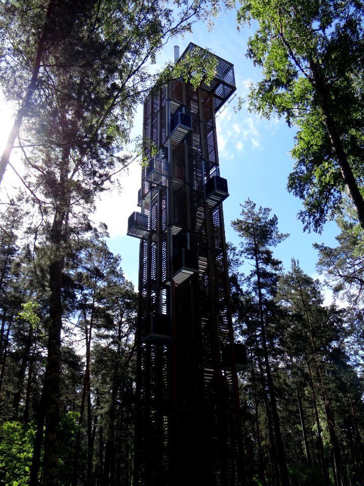 worm's-eye view photography of tree house in forest