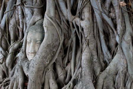 Phra nakhon si ayutthaya, Thail photo