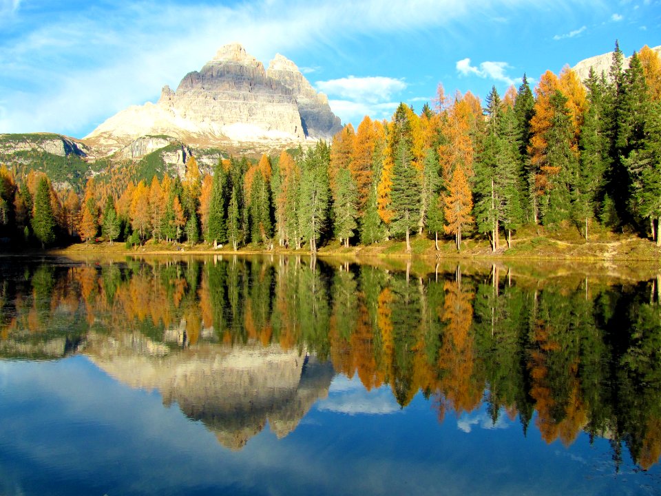 lake surrounded by trees
