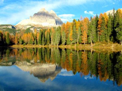 lake surrounded by trees