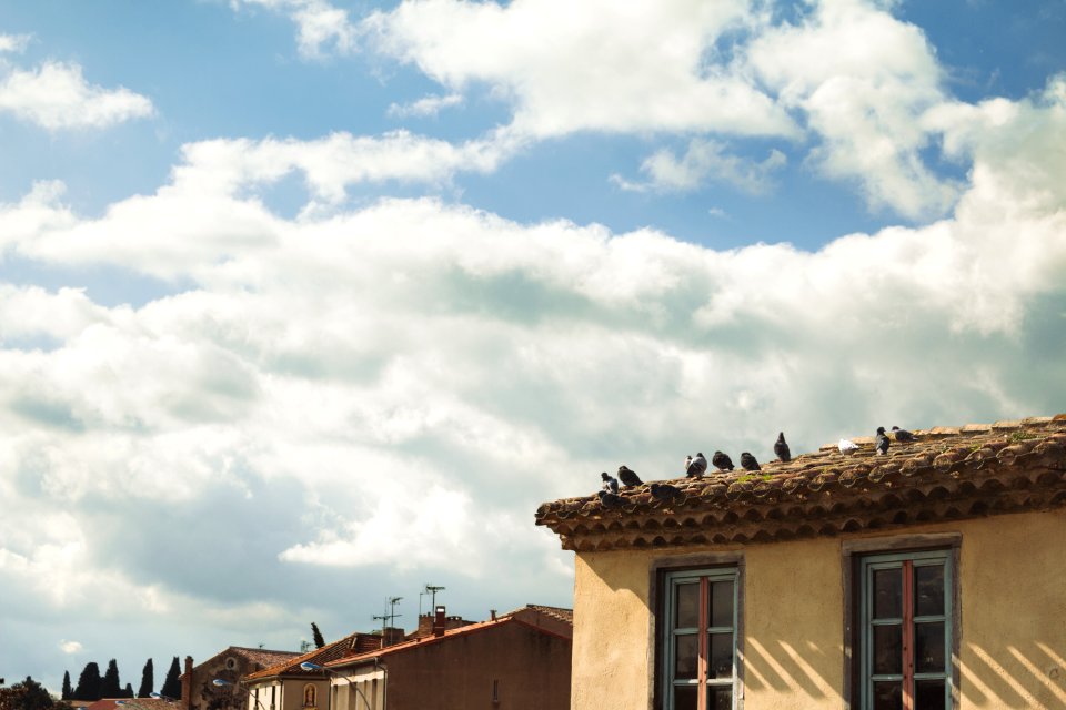 Windows, Houses, Sunny