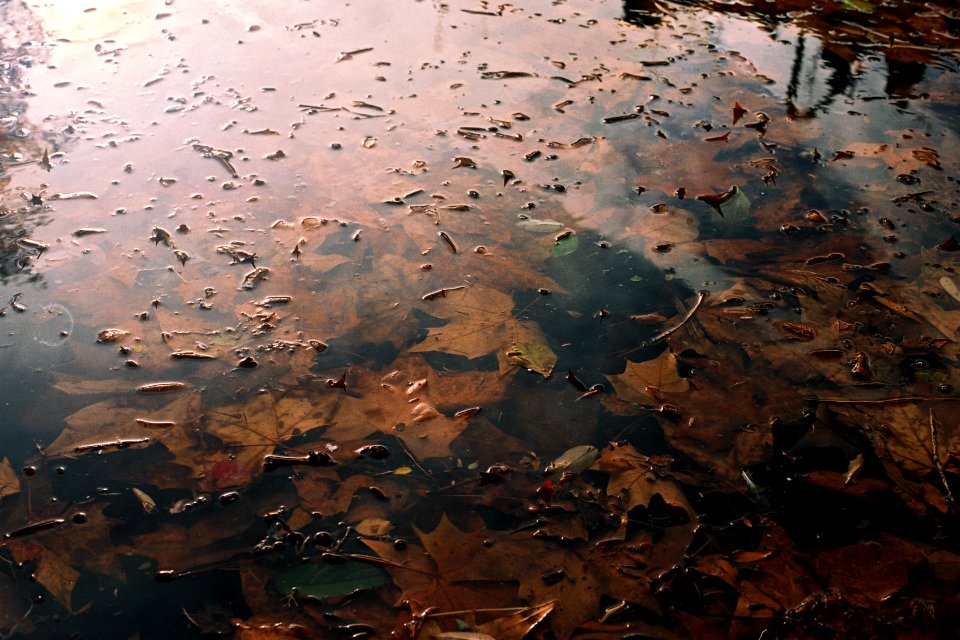 Toulouse, France, Reflection