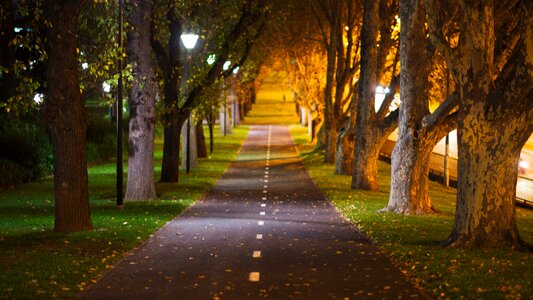Bike path pedestrian