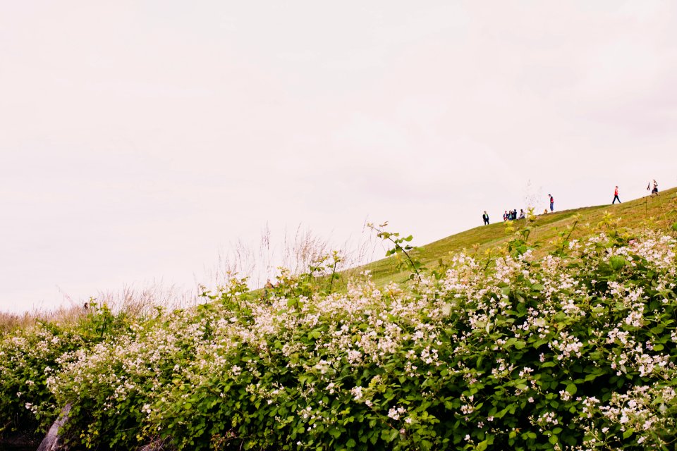 Seattle, Gas works park, United states