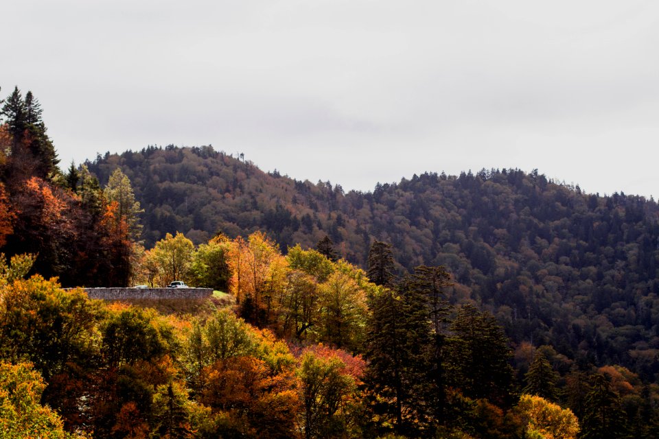 Great smoky mountains, United states, National park
