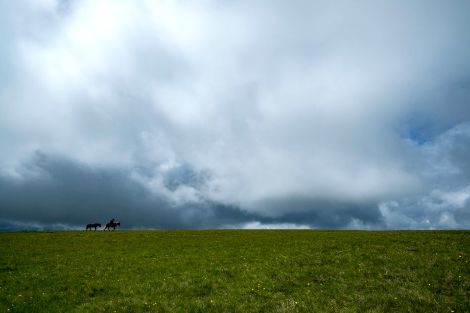 Scape, Riding, Rider