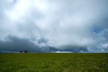 Scape, Riding, Rider