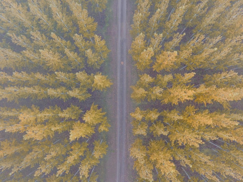 Fall, Countryside, Oregon