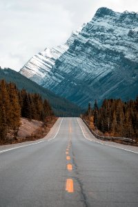 gray concrete road between trees near mountain photo