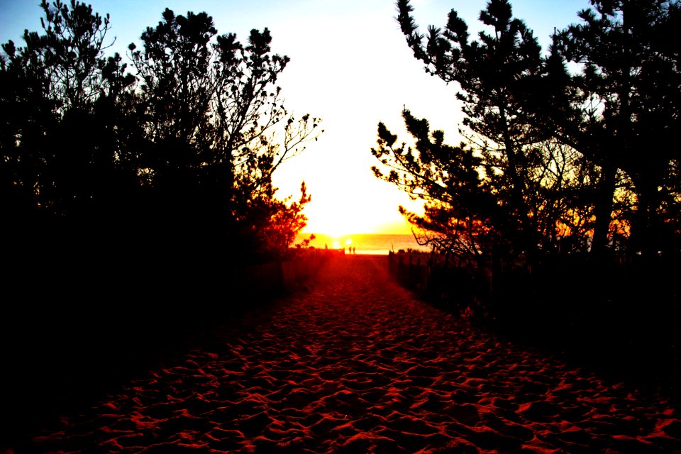 Ocean, Beach, Sun