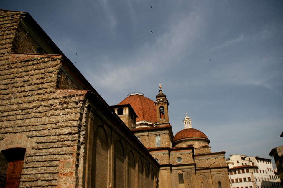 Florence, Italy, Bird