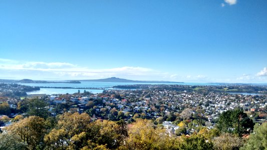 Auckl, Trees, Houses