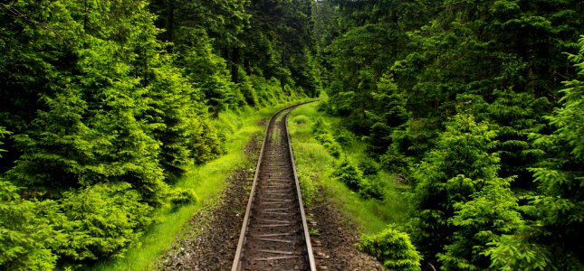 Germany, Brocken, Wernigerode