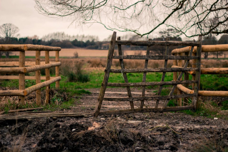 Littlebourne, United kingdom, Kent