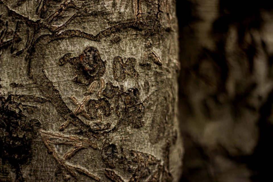 Kings wood car park, Challock, United kingdom