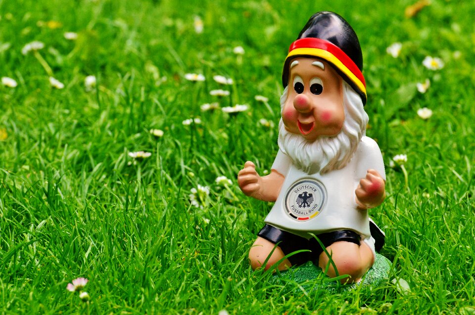 Dwarf national colours 2016