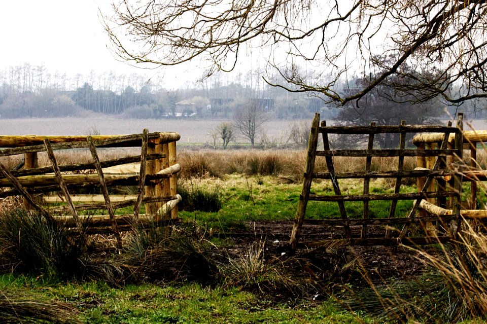 Bekesbourne, United kingdom, Wildlife