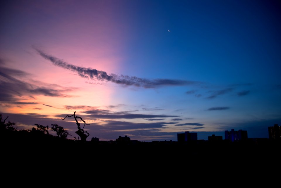 Myrtle beach inlet, Garden city, Usa